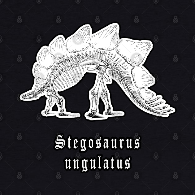 🦖 Fossil Skeleton of a Stegosaurus ungulatus Dinosaur by Pixoplanet